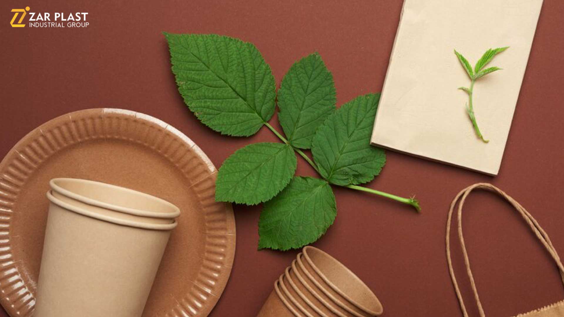 Biodegradable plastics