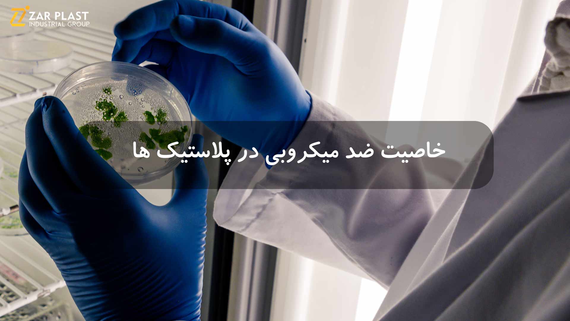 خاصیت ضد میکروبی