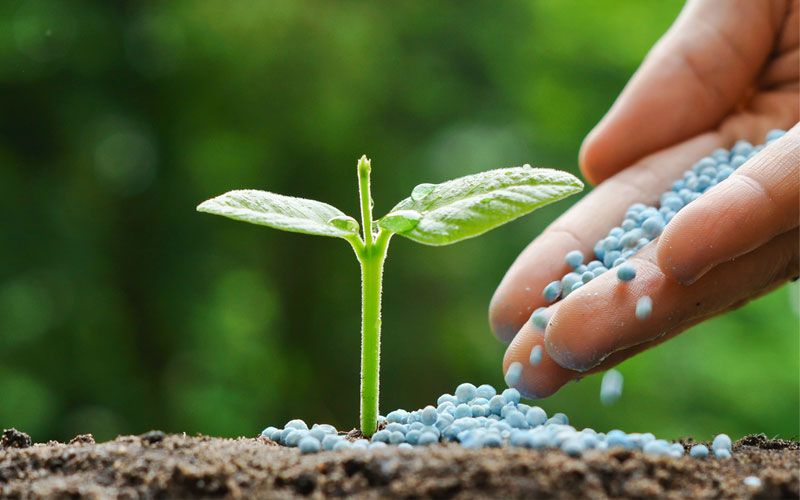 استاندارد های کود و سم چیست ؟